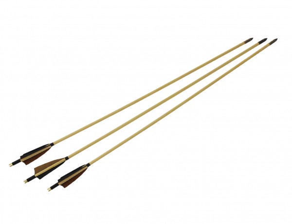6 x 28 Standard Wood Arrows
